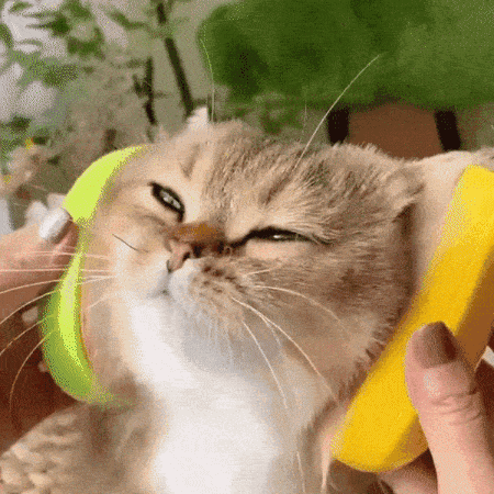Pet Steam brush