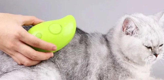 Pet Steam brush