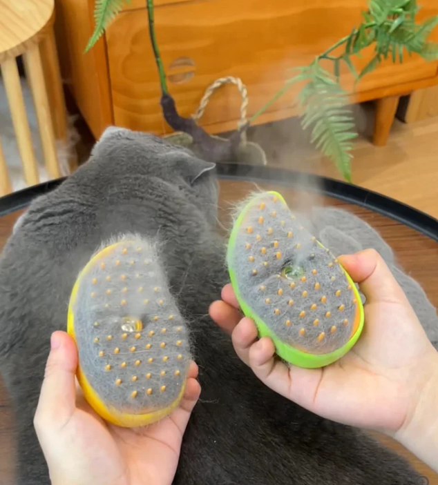 Pet Steam brush