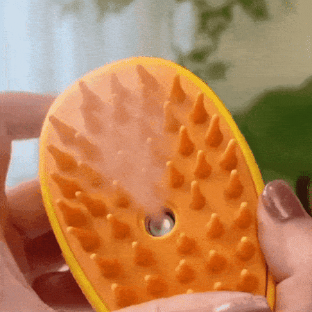 Pet Steam brush